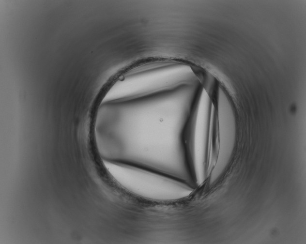 X0000094230580200711241747