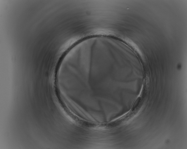 X0000094230581200711241747