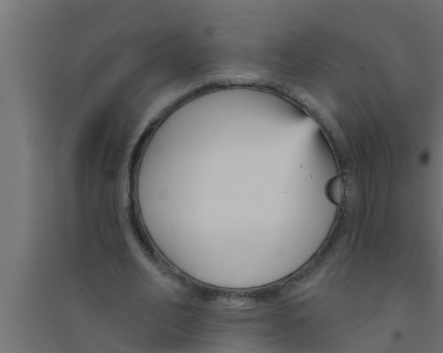 X0000094230582200711241747