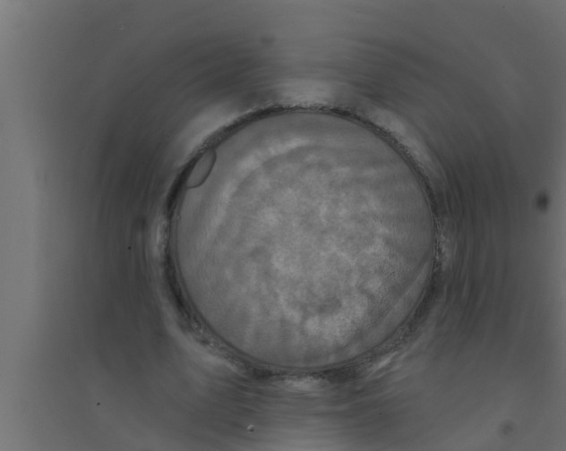 X0000094230583200711241747