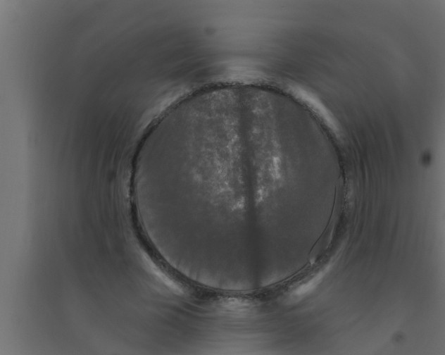X0000094230585200711241747