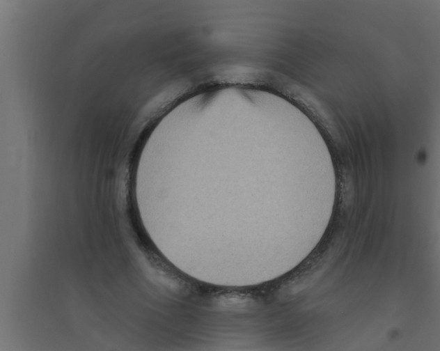 X0000094230586200711241747