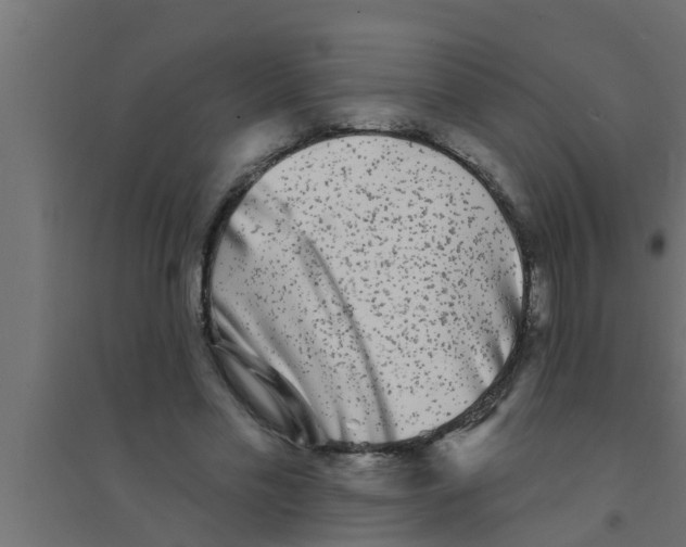 X0000094230589200711241747