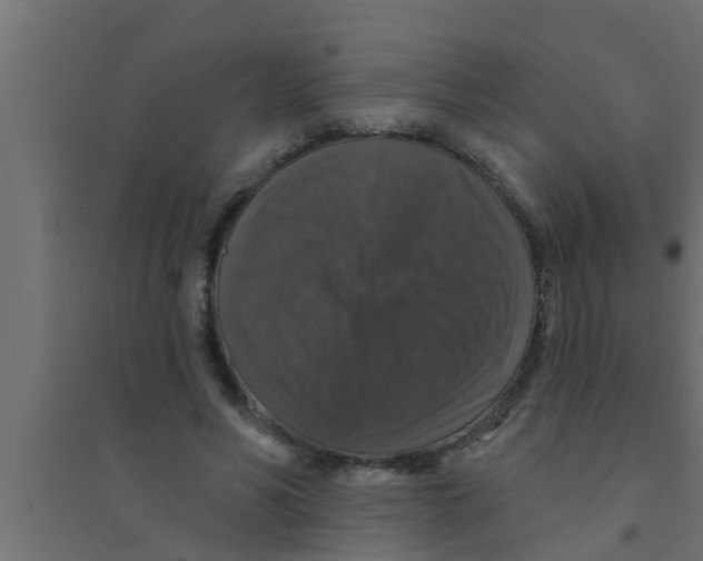 X0000094230590200711241746