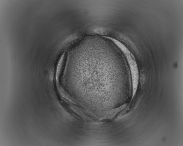 X0000094230593200711241746