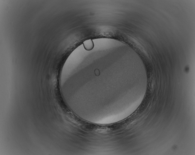 X0000094230595200711241746