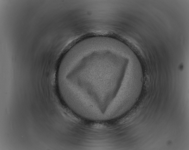 X0000094230596200711241746
