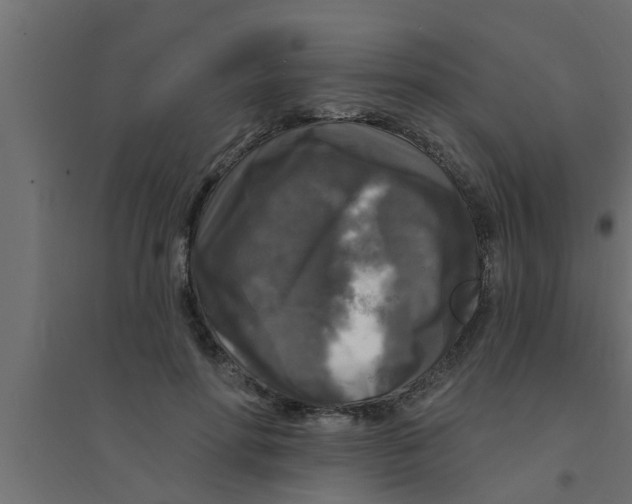 X0000094230598200711241746