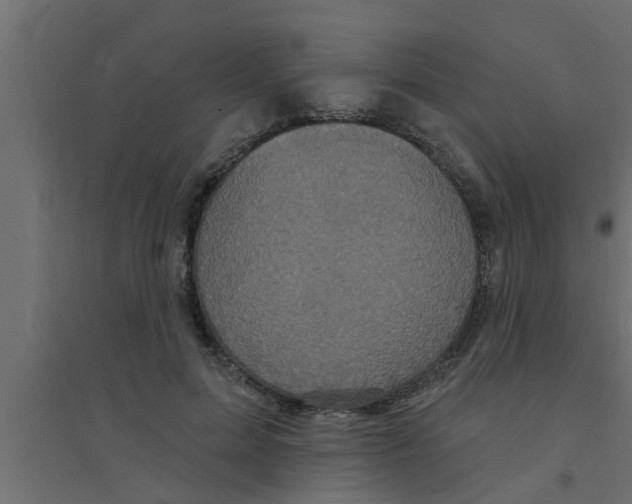 X0000094230599200711241746