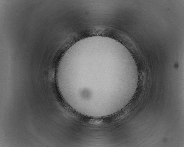 X0000094230602200711241746
