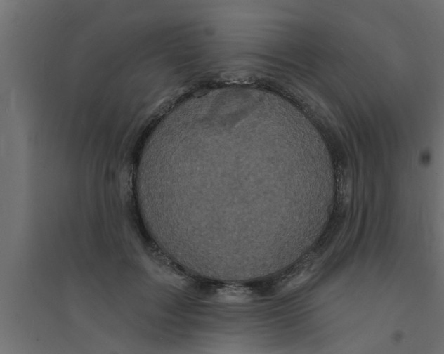 X0000094230603200711241746