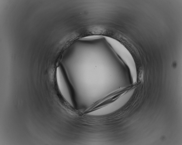 X0000094230604200711241746