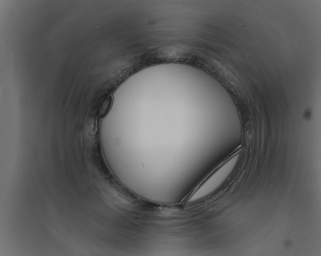 X0000094230605200711241746