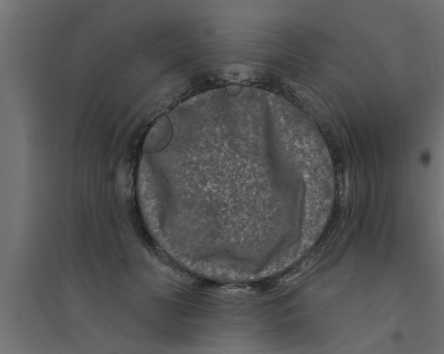 X0000094230606200711241746