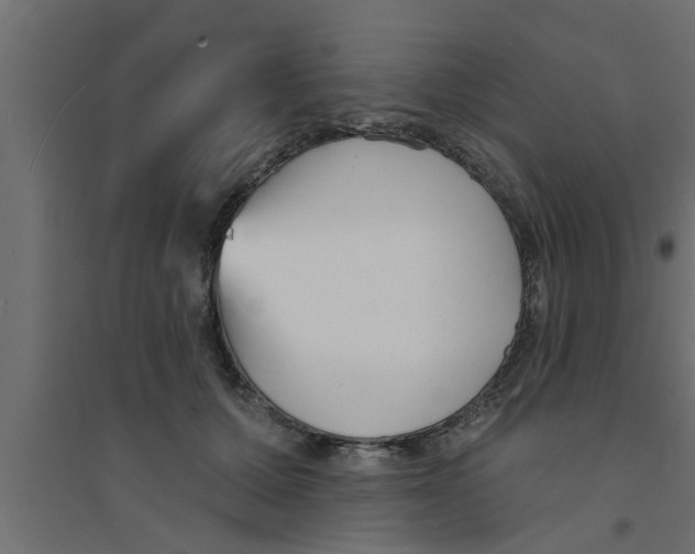 X0000094230607200711241746