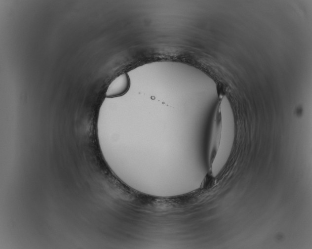 X0000094230608200711241746