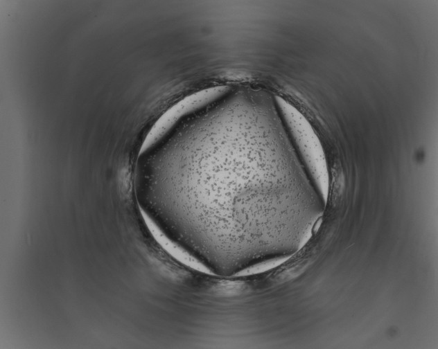 X0000094230609200711241746