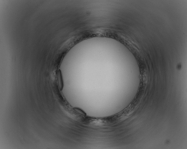 X0000094230611200711241746