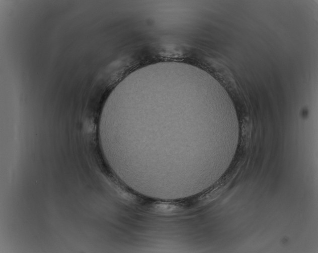 X0000094230614200711241746