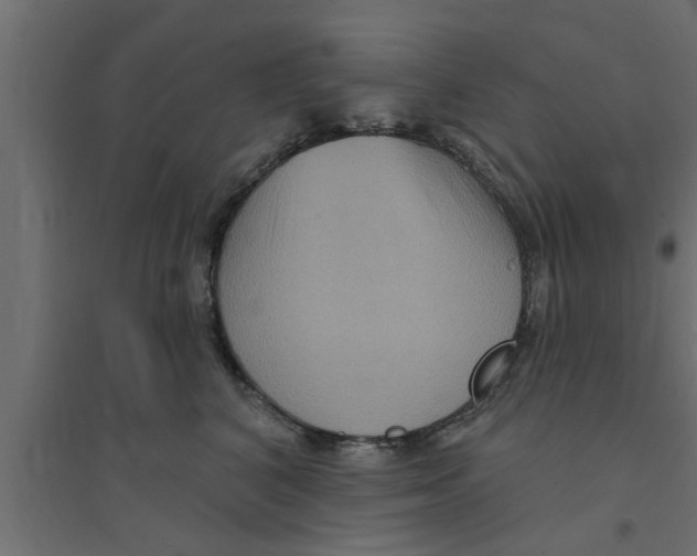X0000094230616200711241746