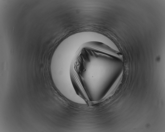 X0000094230617200711241746