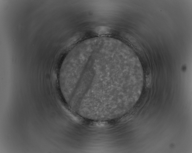 X0000094230618200711241746