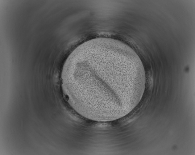 X0000094230619200711241746