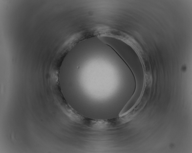 X0000094230621200711241746