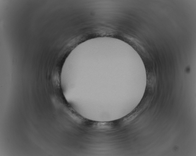 X0000094230622200711241746
