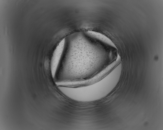X0000094230623200711241746