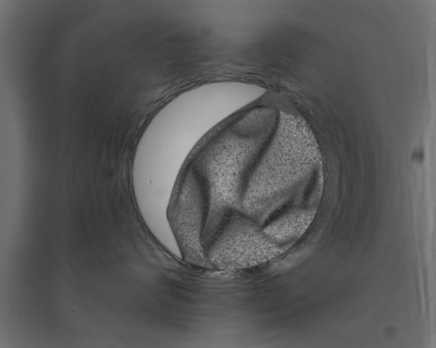 X0000094230624200711241746