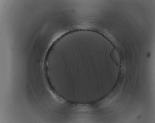 X0000094230626200711241745