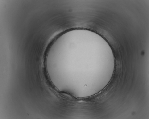 X0000094230628200711241745