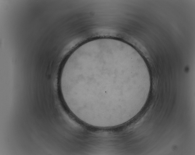 X0000094230629200711241745