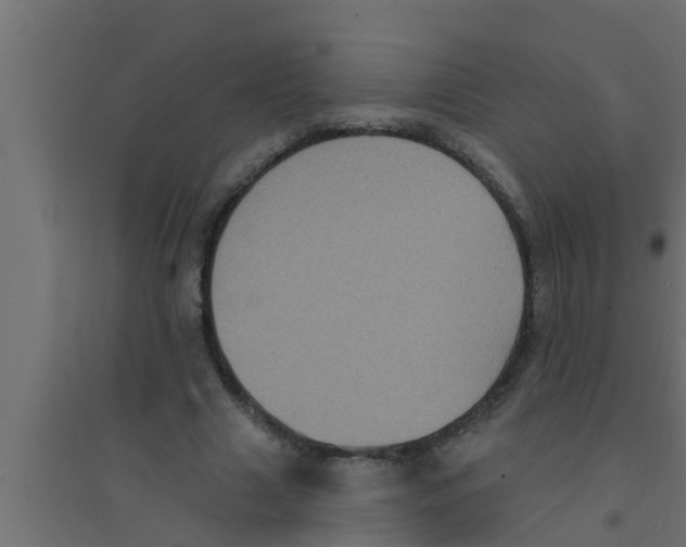 X0000094230633200711241745