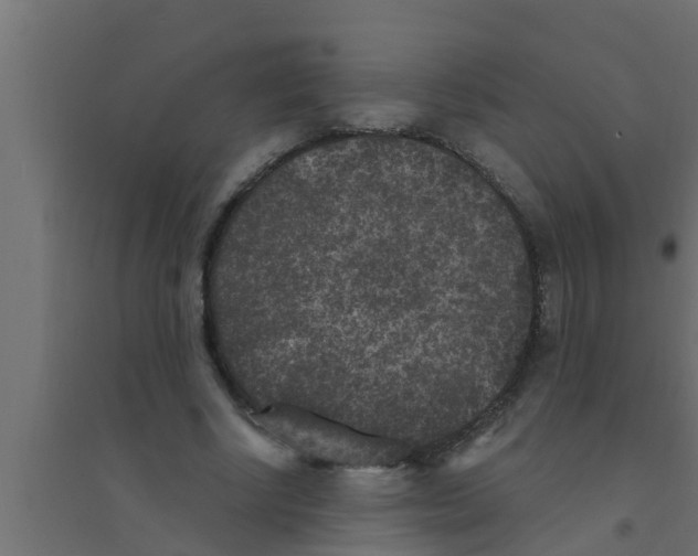 X0000094230634200711241745