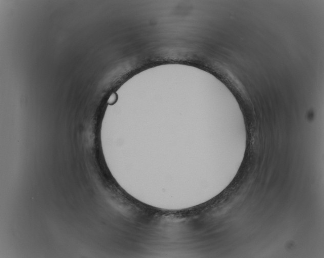 X0000094230635200711241745
