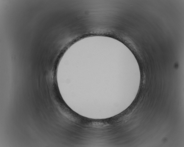 X0000094230636200711241746