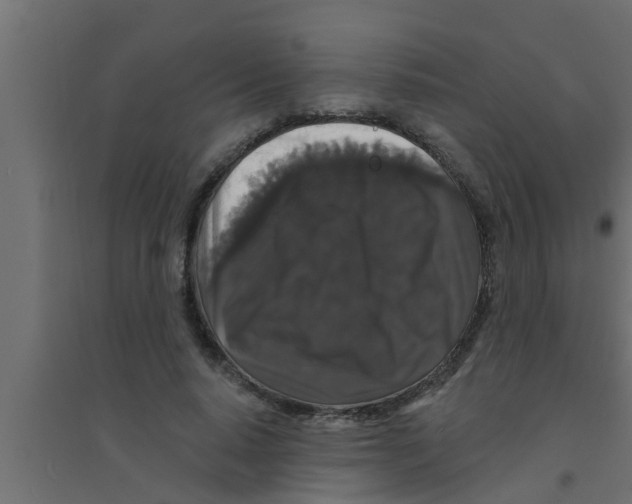 X0000094230640200711241746