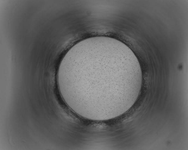 X0000094230642200711241746