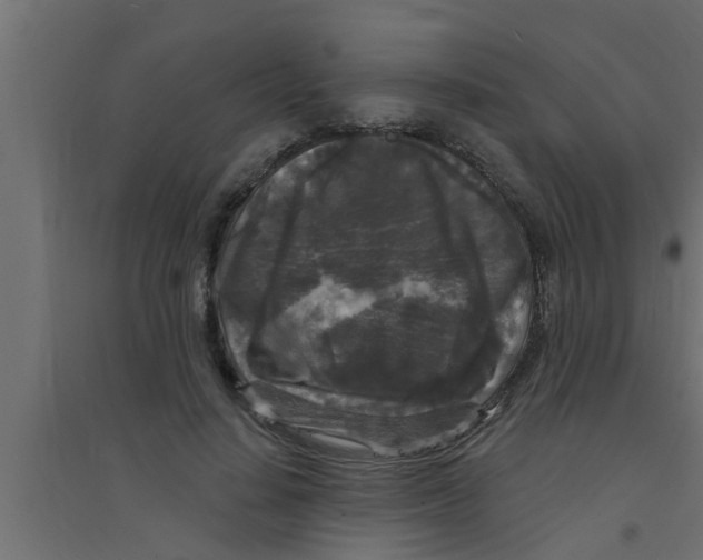 X0000094230644200711241746