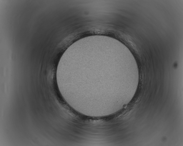 X0000094230645200711241746