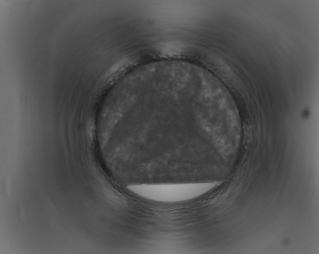 X0000094230648200711241746