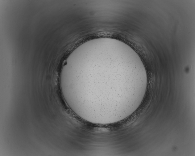 X0000094230649200711241746