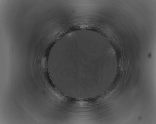 X0000094230650200711241746