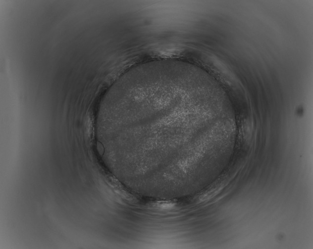 X0000094230651200711241746