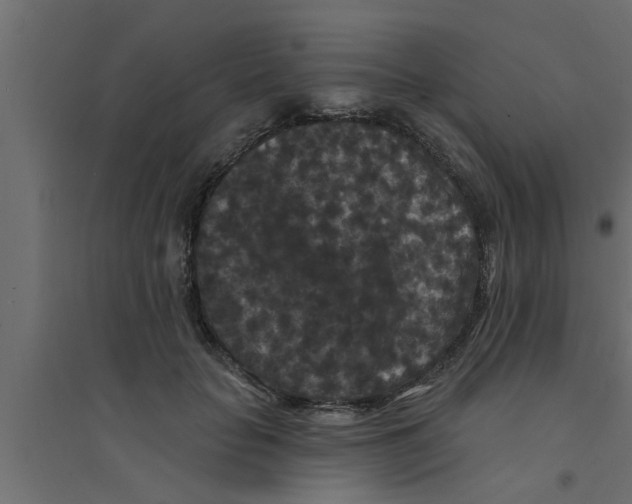 X0000094230653200711241746