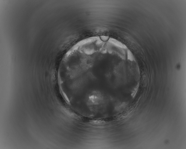 X0000094230654200711241746