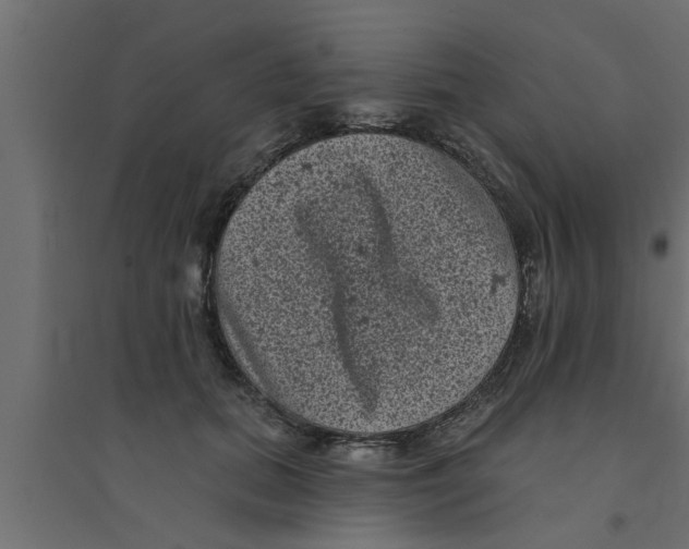 X0000094230655200711241746