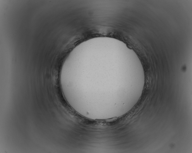 X0000094230656200711241746